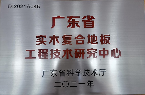 廣東(dōng)省實木(mù)複合地(dì)闆工(gōng)程技(jì)術(shù)研究中心